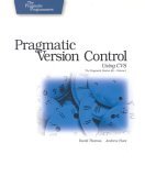 Pragmatic Version Control Using CVS